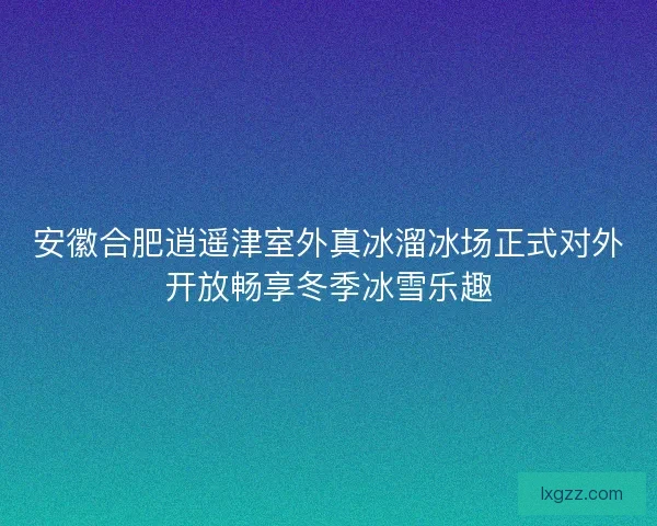 安徽合肥逍遥津室外真冰溜冰场正式对外开放畅享冬季冰雪乐趣